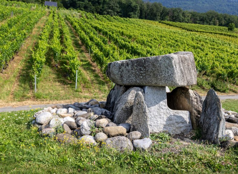 Dolmen d'Onnens © ADNV - Lionel Bourgeois