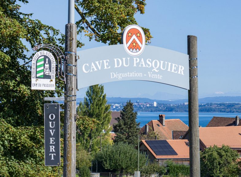 Vendanges Martial Du Pasquier © ADNV - Lionel Bourgeois