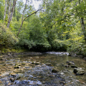 Rivière L'Arnon © ADNV - Yanick Turin