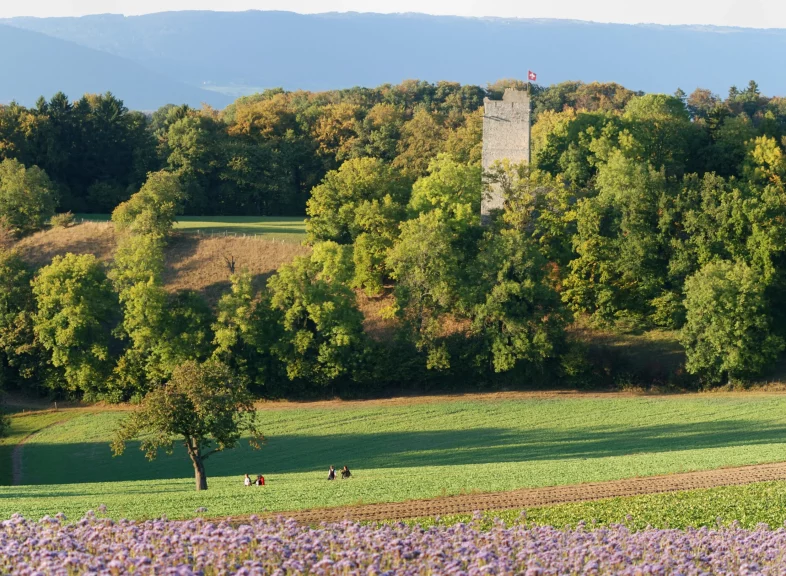 Vallon des Vaux © claudejaccard.com