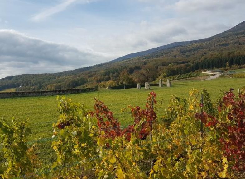 Domaine des 4 menhirs